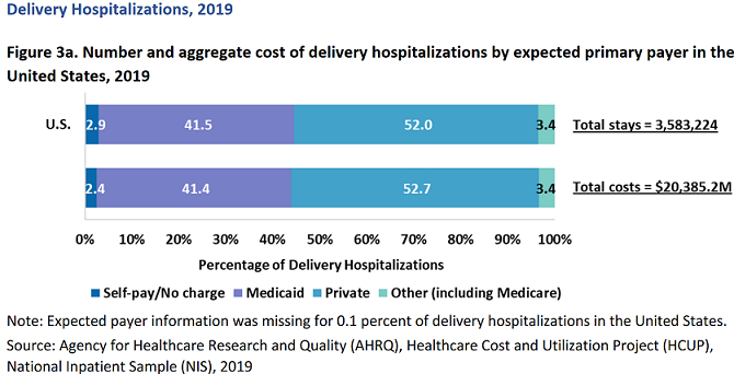 Chart showing number and aggregate cost of delivery hospitalizations by expected primary payer in the United States, 2019.