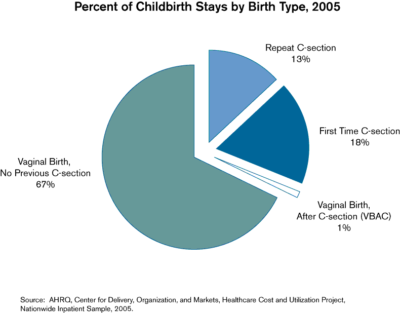 Exhibit 3.3. Chart showing Percent of Childbirth Stays by Birth Type, 2005