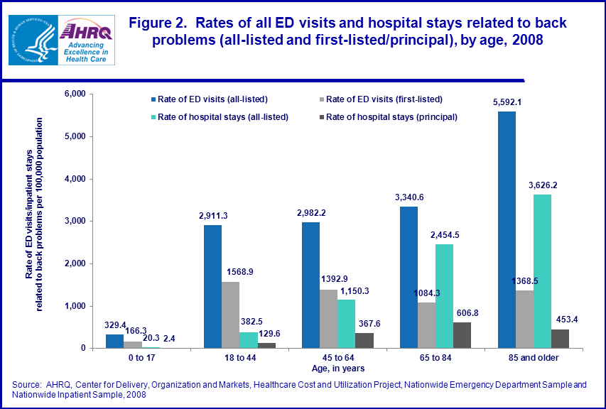 Figure 2 is bar chart illustrating the rates of all emergency department visits and hospital stays 