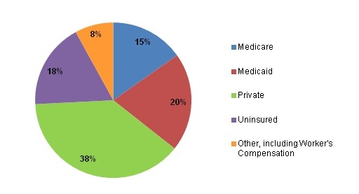 Figure 2 is a pie chart illustrating injury-related emergency department visits by expected primary payer.