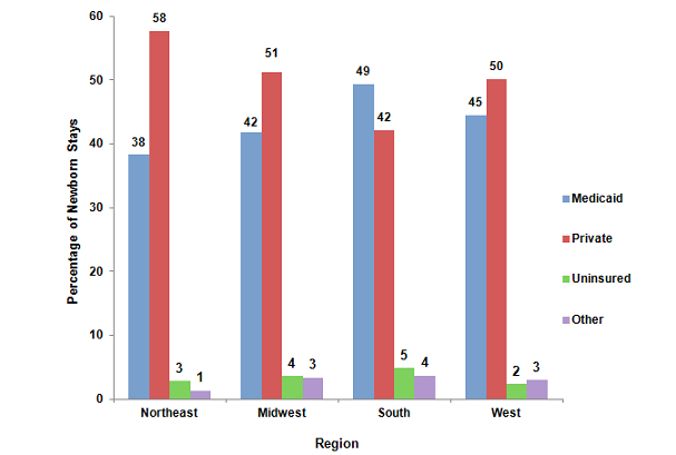 Figure 2 is a bar graph illustrating the percentage of newborn hospital stays by the payer and region.