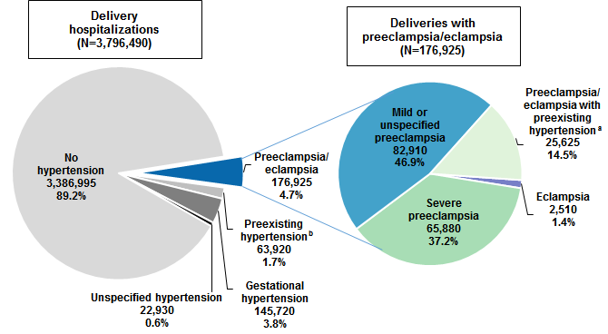 Figure 1 is two pie charts, one illustrating the distribution of all delivery hospitalizations with and without hypertension-related diagnoses and the other illustrating the distribution of deliveries by type of preeclampsia/eclampsia.