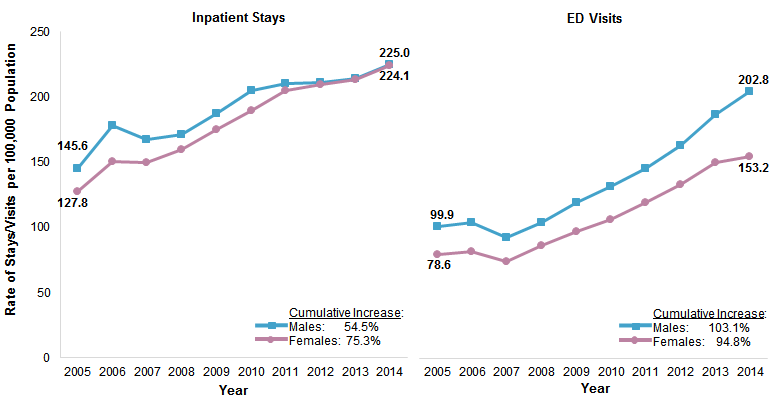 Figure1 is 2-line graphs illustrating the national rate of opioid-related inpatient stays and emergency department visits per 100,000 population from 2005 to 2014 by patient sex.