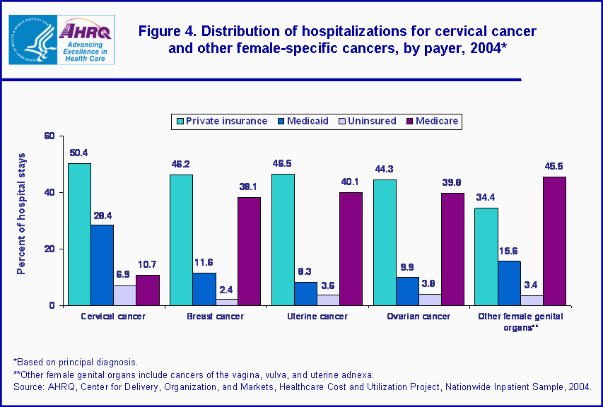 Figure 1. Bar chart showing distribution of hospitalizations for cervical cancer and other female-specific cancers, by payer, 2004