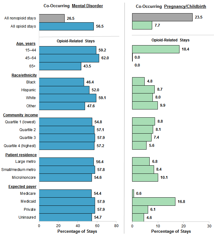 Figure 2 is a bar chart illustrating the opioid-related inpatient stays among women with a co-occurring mental health diagnosis or pregnancy/childbirth by patient characteristics in 2016. Data are provided in Supplemental Table 2.