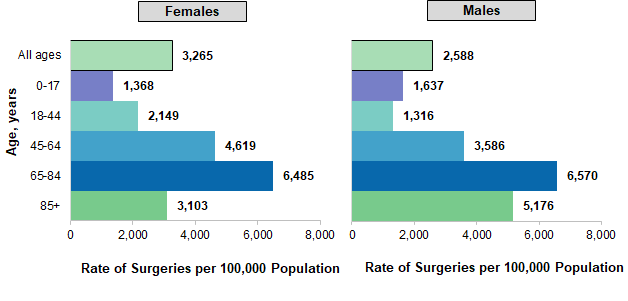 Figure 1 is two bar charts that illustrate female and male population rates for the 20 most common major ambulatory surgeries performed in hospital-owned facilities, by age group in 2016