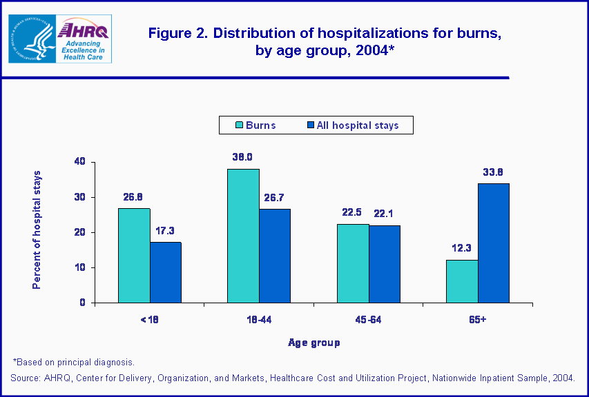 Figure 2. Bar chart showing distribution of hospitalizations for burns, by age group, 2004