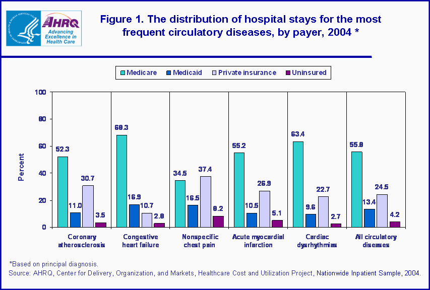 Figure 1. Bar chart showing the distribution of hospital stays for the most frequent circulatory diseases, by payer, 2004