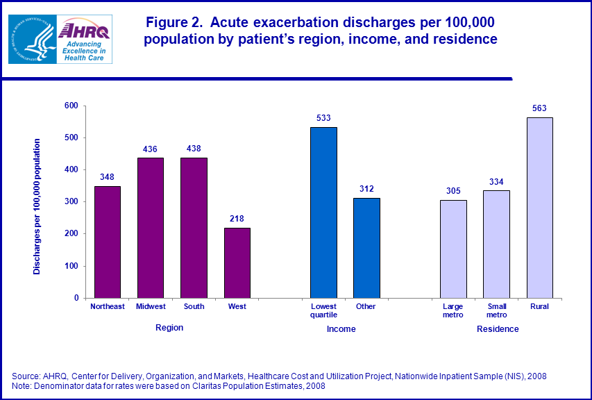 Figure 2 is a bar chart illustrating the acute exacerbation discharges per 100,000 population by patientâ€™s region, income, and residence.