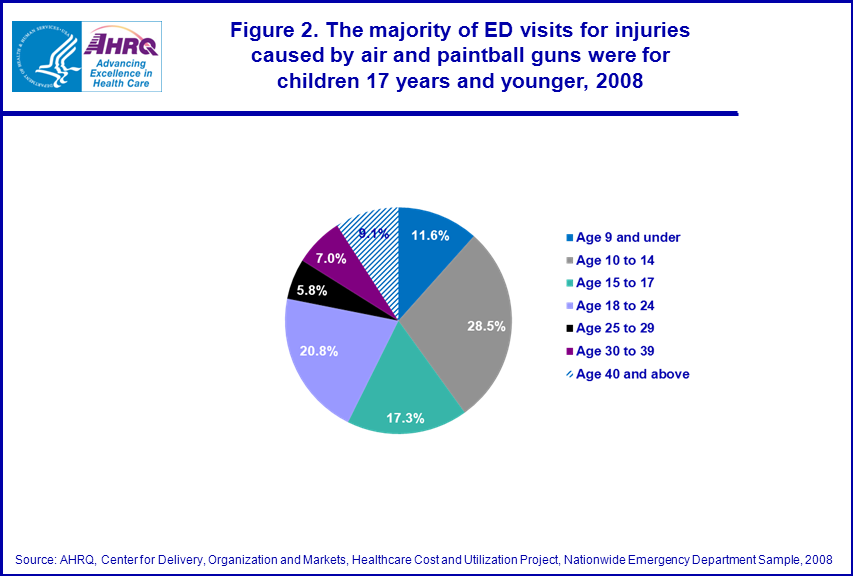 Figure 2 is a pie chart illustrating the majority of emergency department visits for injuries caused by air and paintball guns were for children 17 years and younger in 2008.