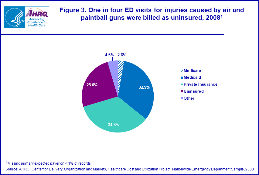 Figure 3 is a pie chart illustrating 1 in 4 emergency department visits for injuries caused by air and paintball guns were billed as uninsured in 2008.
