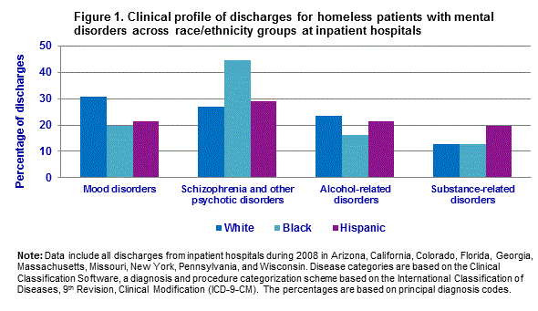 Figure 1 is a column bar chart illustrating the clinical profile of discharges for homeless patients with mental disorders across race/ethnicity groups at inpatient hospitals.