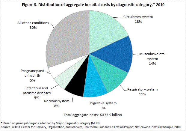 Figure 5 is a pie chart illustrating the distribution of aggregate hospital costs by diagnostic category for 2010.