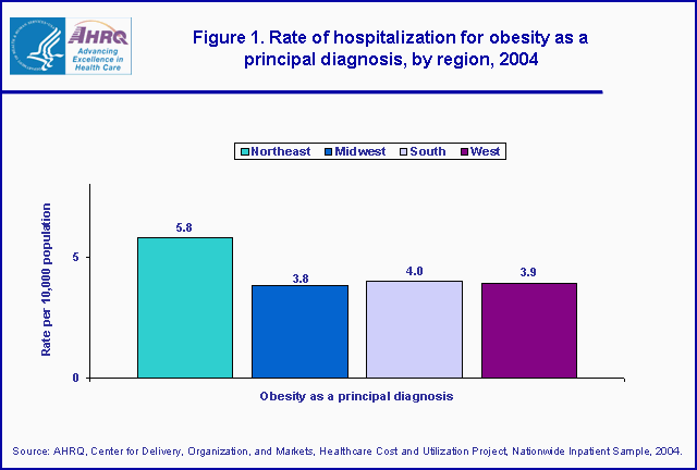 Figure 1. Bar chart showing rate of hospitalization for obesity as a principal diagnosis, by region, 2004