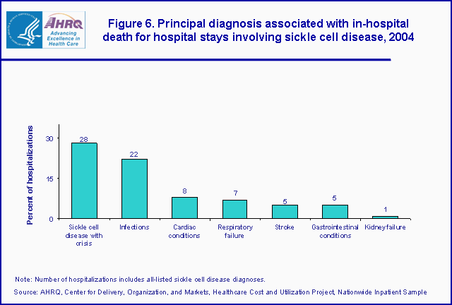 Figure 1. Bar chart showing principal diagnosis associated with in-hospital death for hospital stays involving sickle cell disease, 2004