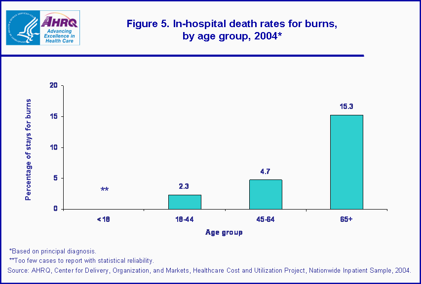 Figure 5. Bar chart showing in-hospital death rates for burns, by age group, 2004